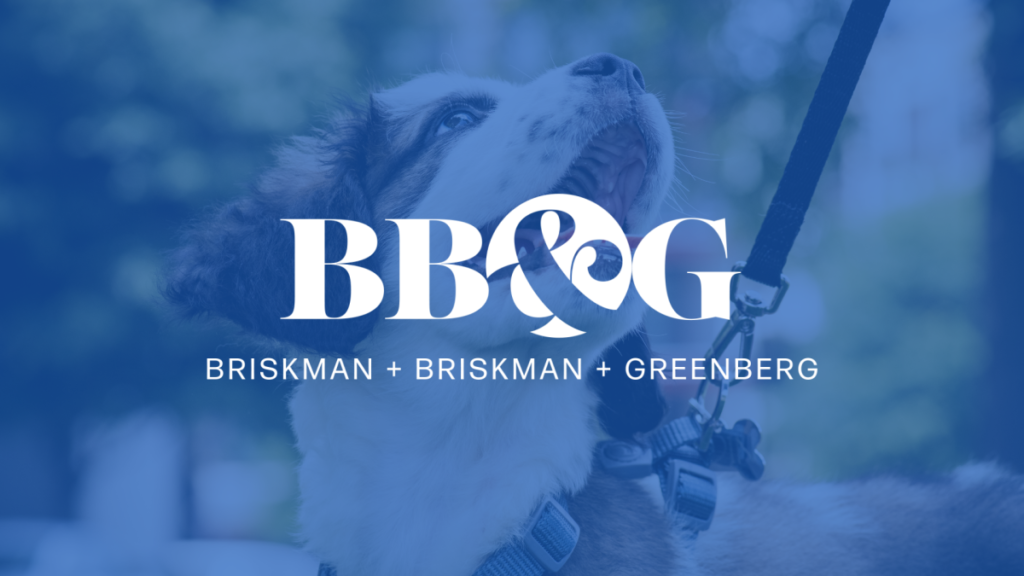 Chicago Dog Bite Attorney, Paul Greenberg Warns Against the Perils of Unleashed Dogs in the City